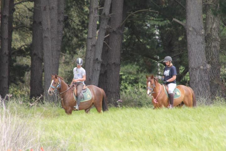 Residential Horse Club Costa Brava Hostel Santa Cristina d'Aro Zewnętrze zdjęcie